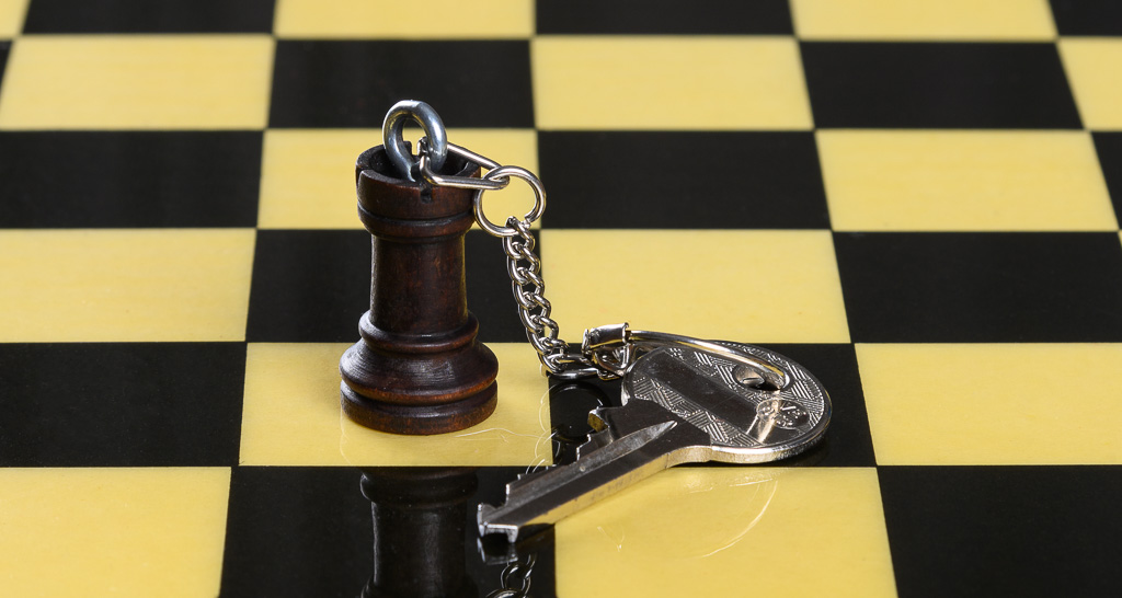 cours d'échecs à Meaux